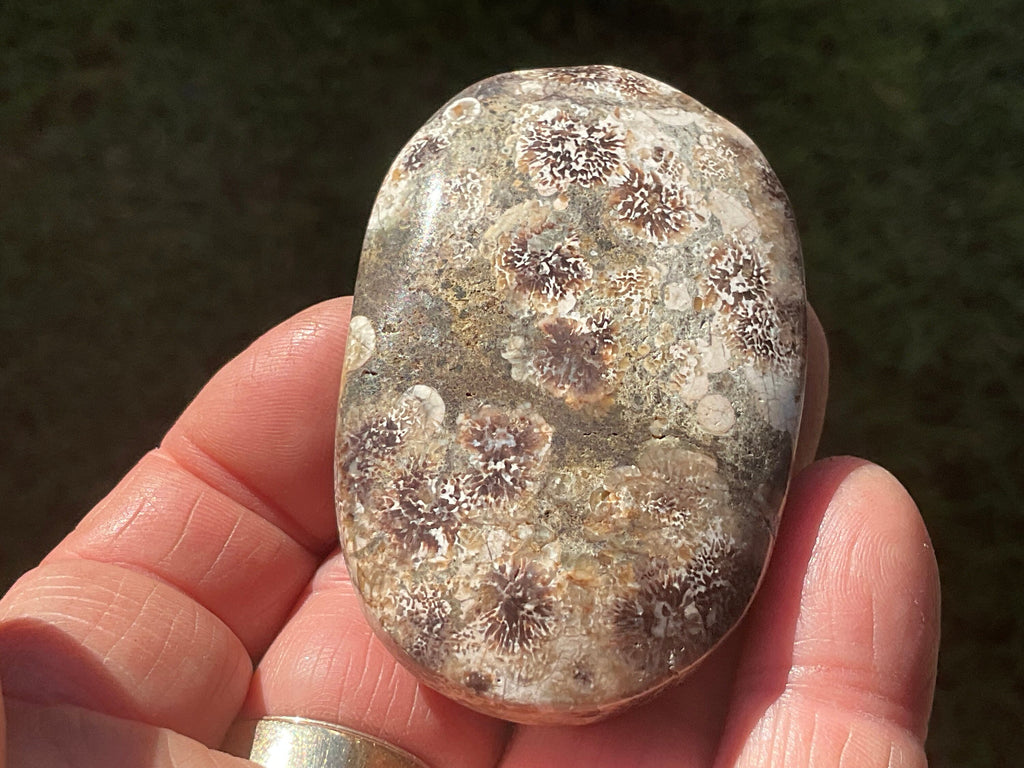 68g Green Cherry Blossom Jasper Palmstone 6A