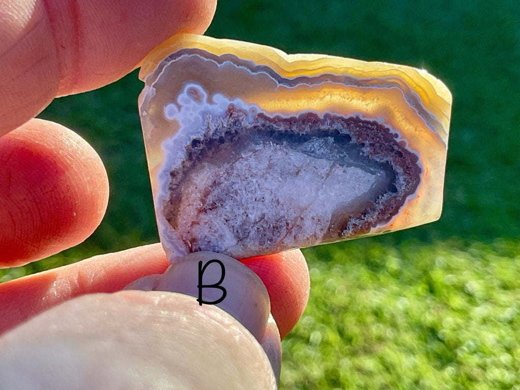 Mexican Crazy Lace Agate Thin Freeforms Group 3