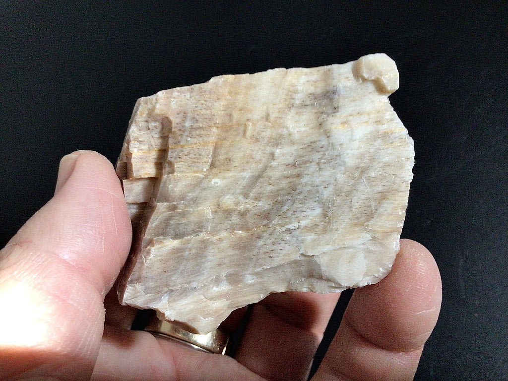 100g Natural Opalised Wood Rough Piece 2B