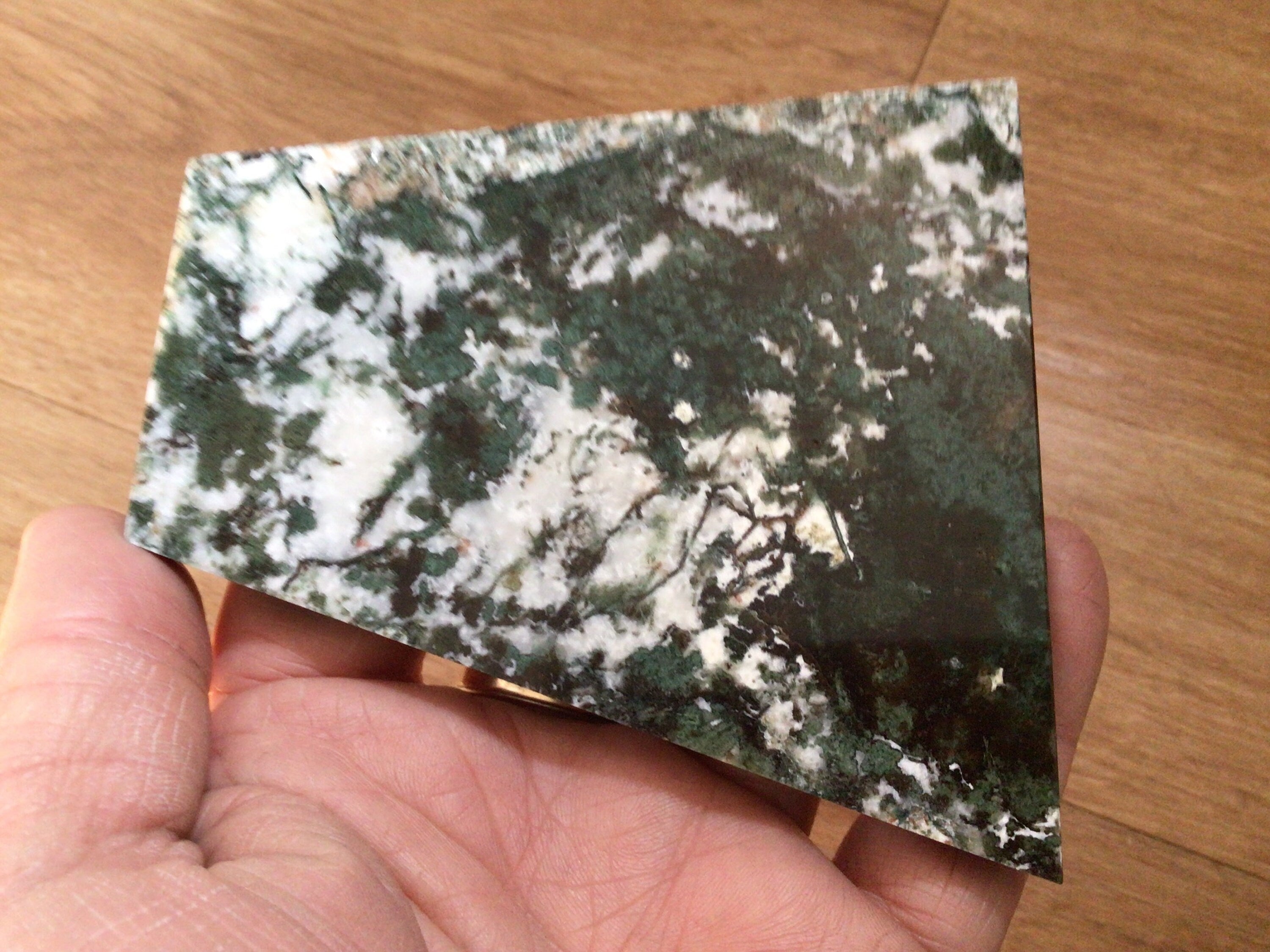 139g Moss Agate Polished Slab 2C