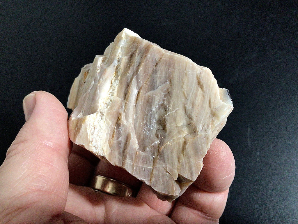 100g Natural Opalised Wood Rough Piece 2A