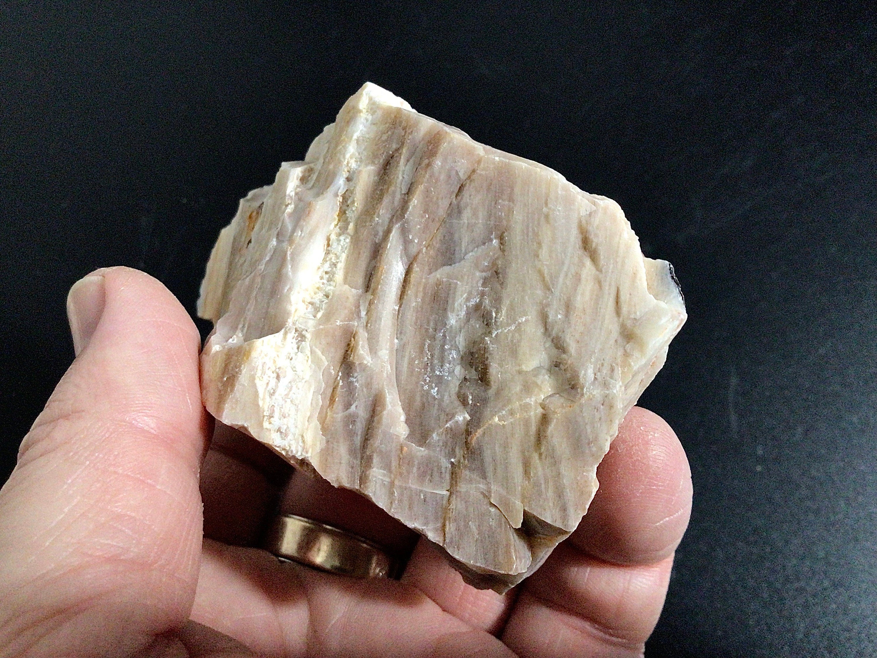 100g Natural Opalised Wood Rough Piece 2A