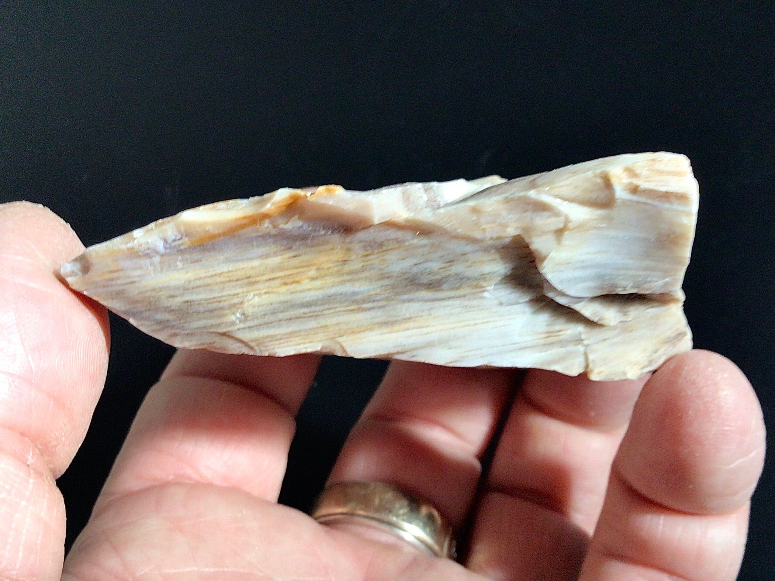 96g Natural Opalised Wood Rough Piece 2C