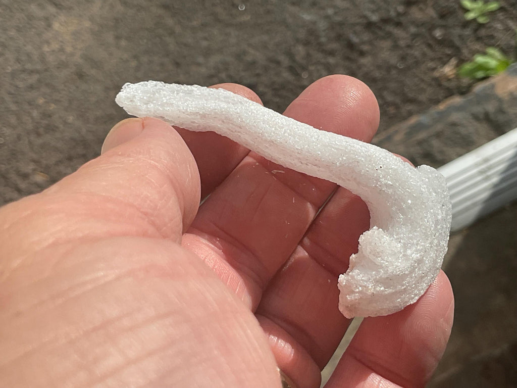14g Rams Horn Selenite Specimen 5A