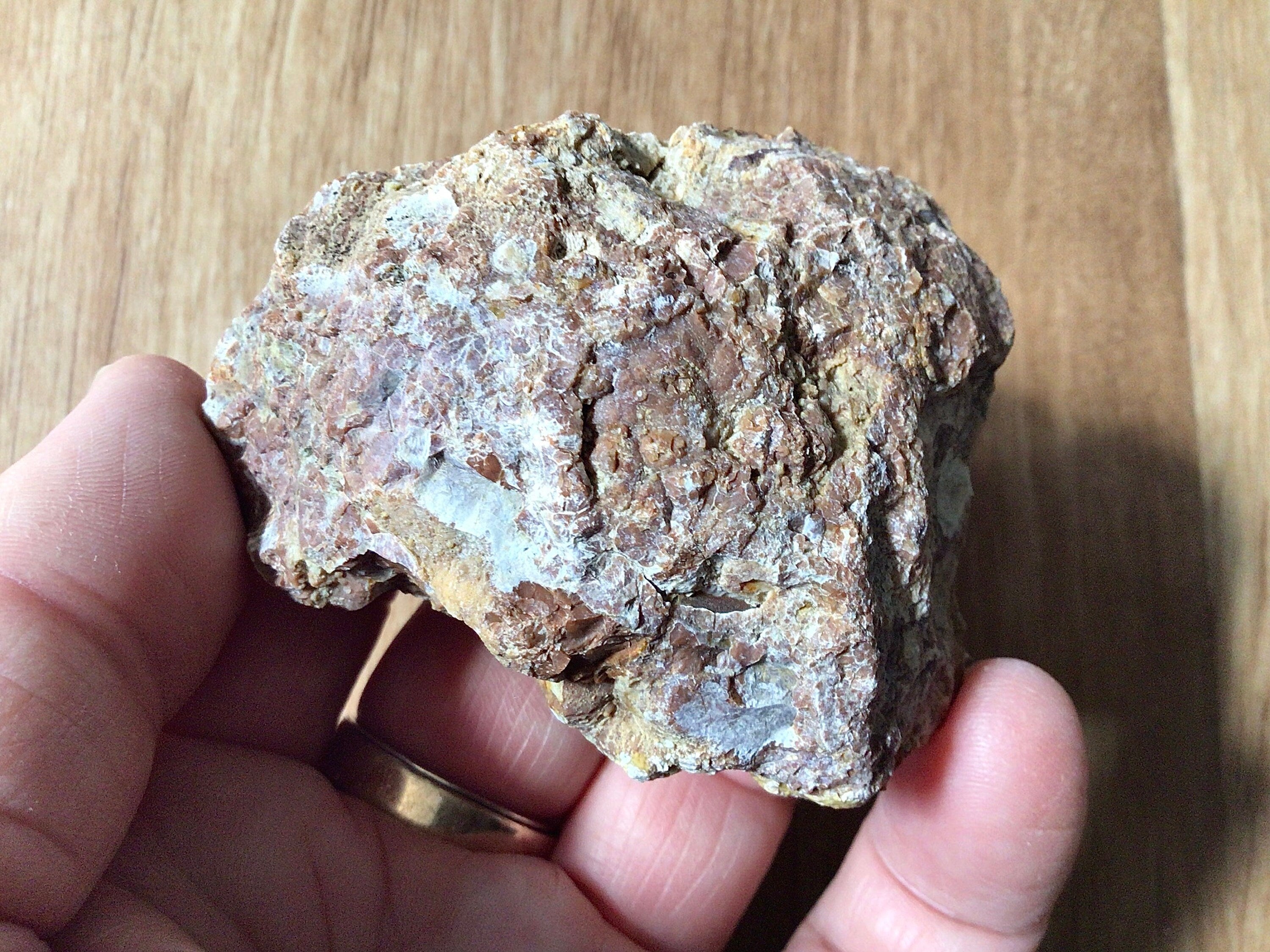 100g Mt Hay Rainforest Jasper Rough 2A