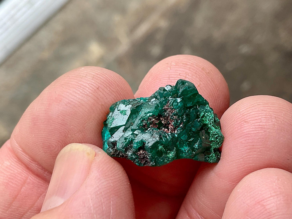 RESERVED FOR JULIA **5g Congolese Dioptase Natural Specimen 3B