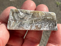 54g Mexican Crazy Lace Agate Freeform 12B