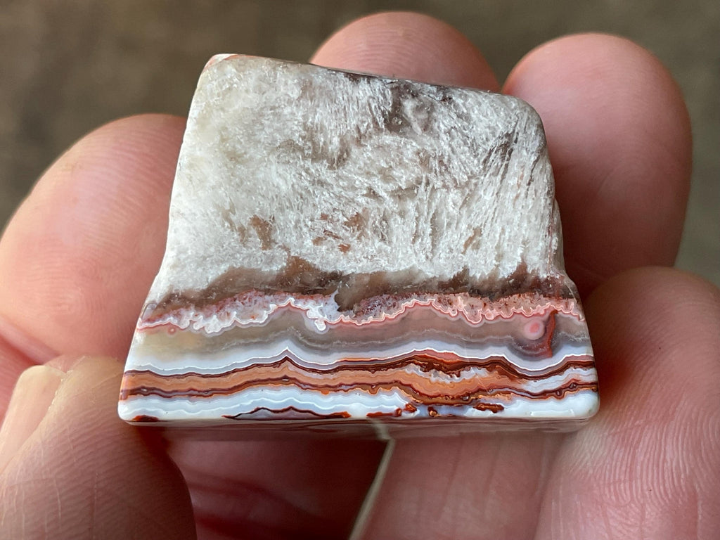 40g Mexican Crazy Lace Agate Freeform 16A