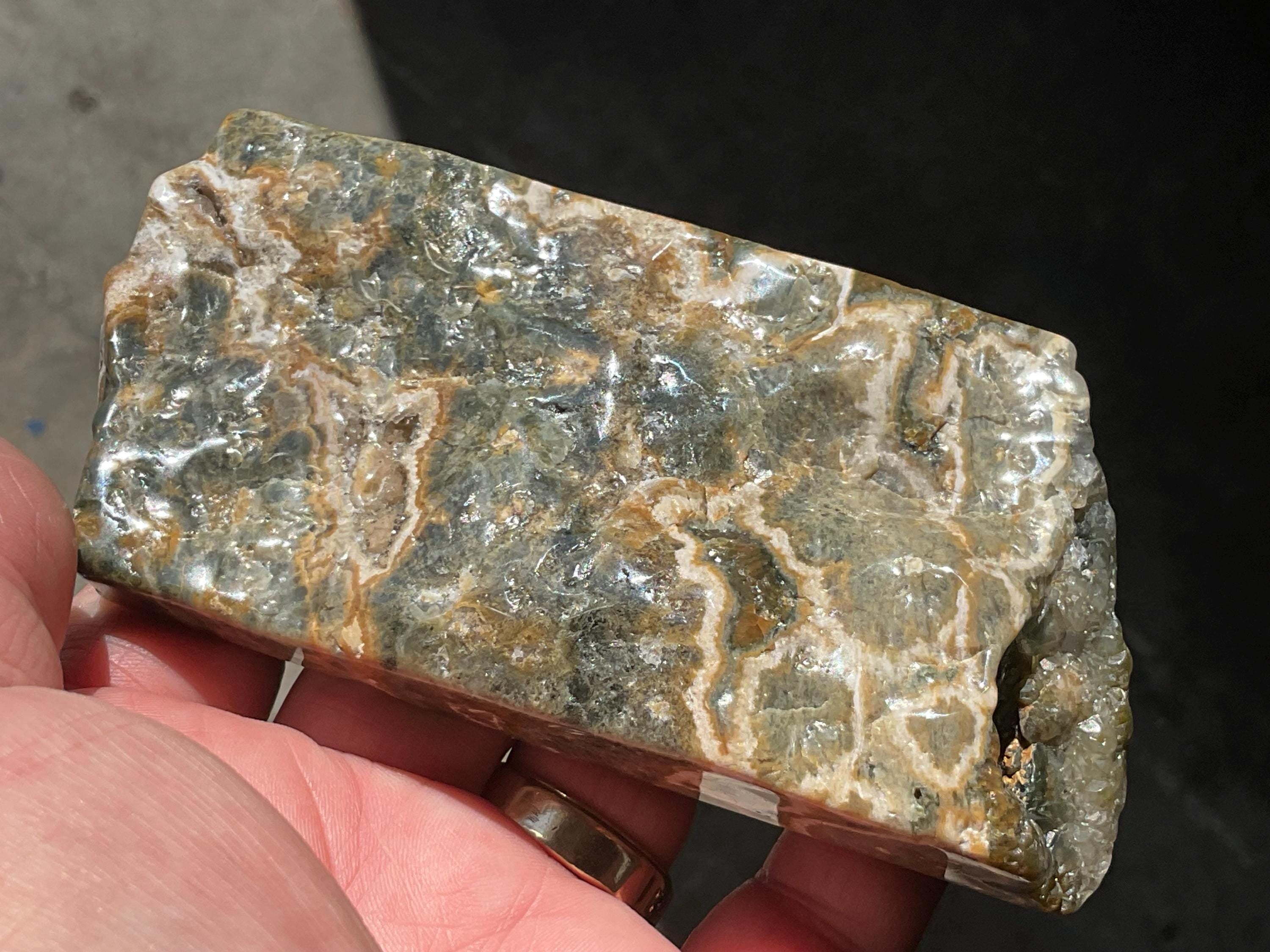 208g Ocean Jasper Polished Slab 3C