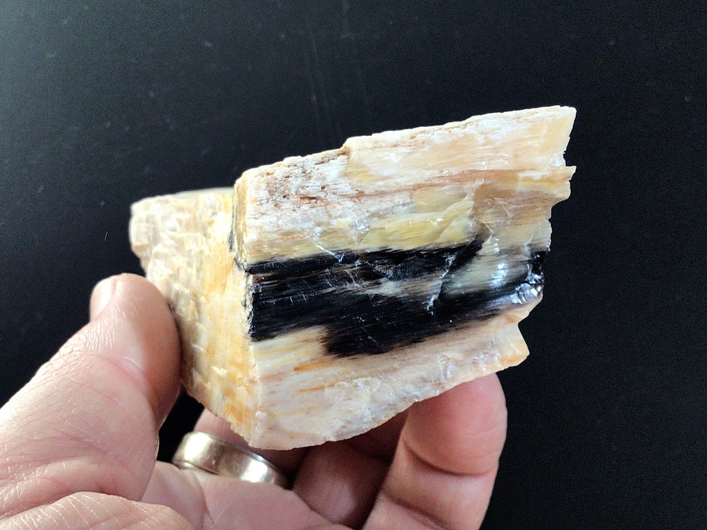 160g Natural Opalised Wood Rough Piece 6A