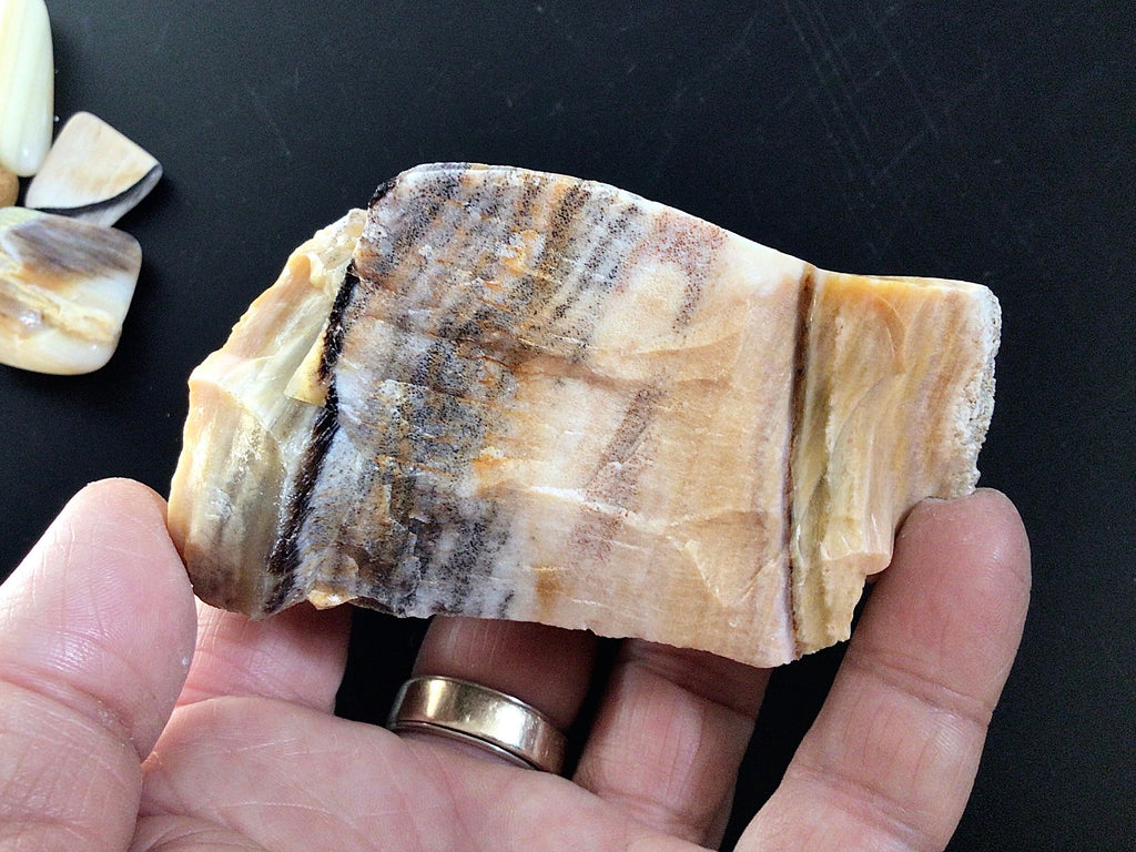 172g Natural Opalised Wood Rough Piece 6C