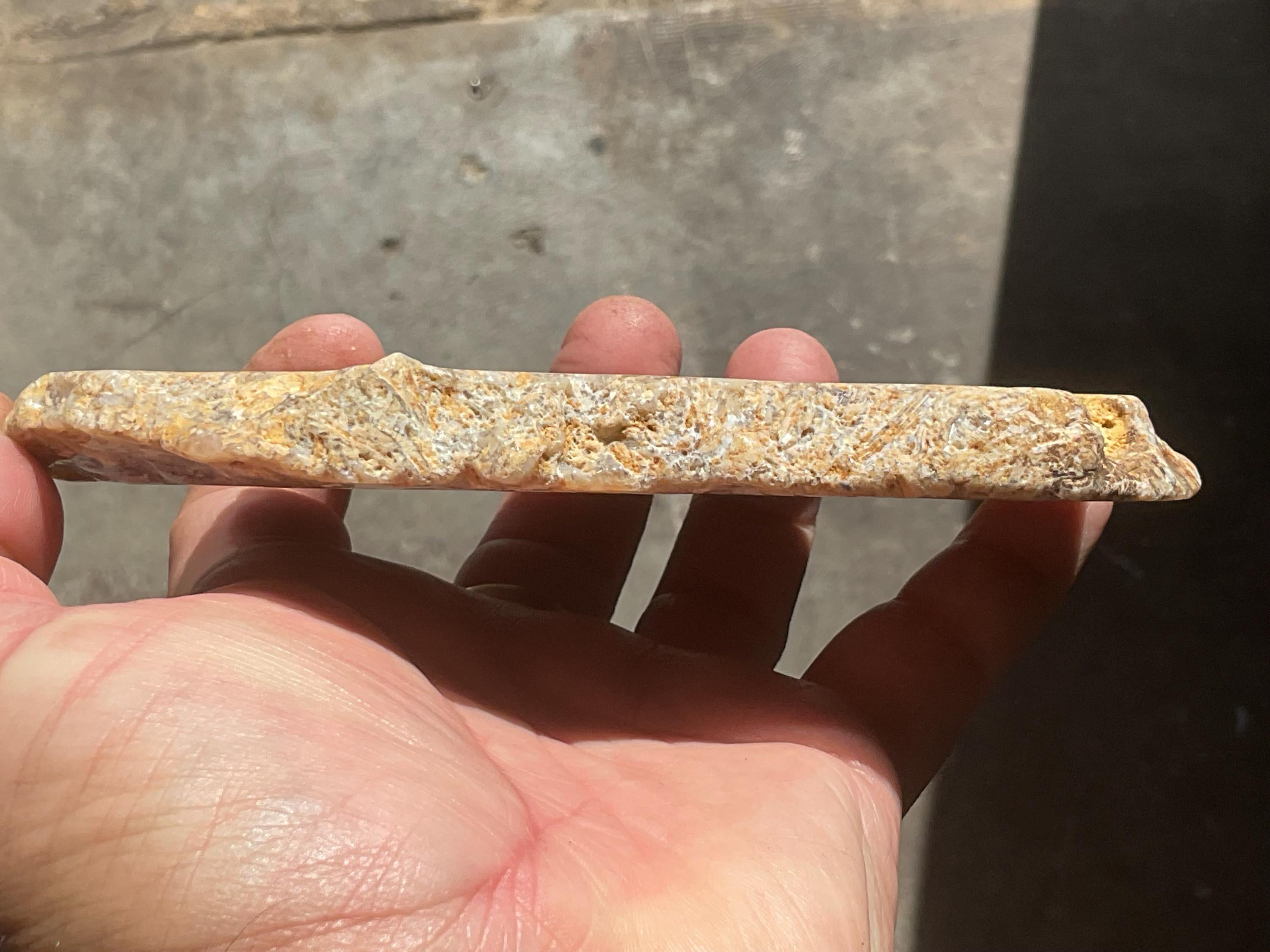 236g Fossilized/Agatised Coral Slab 3C