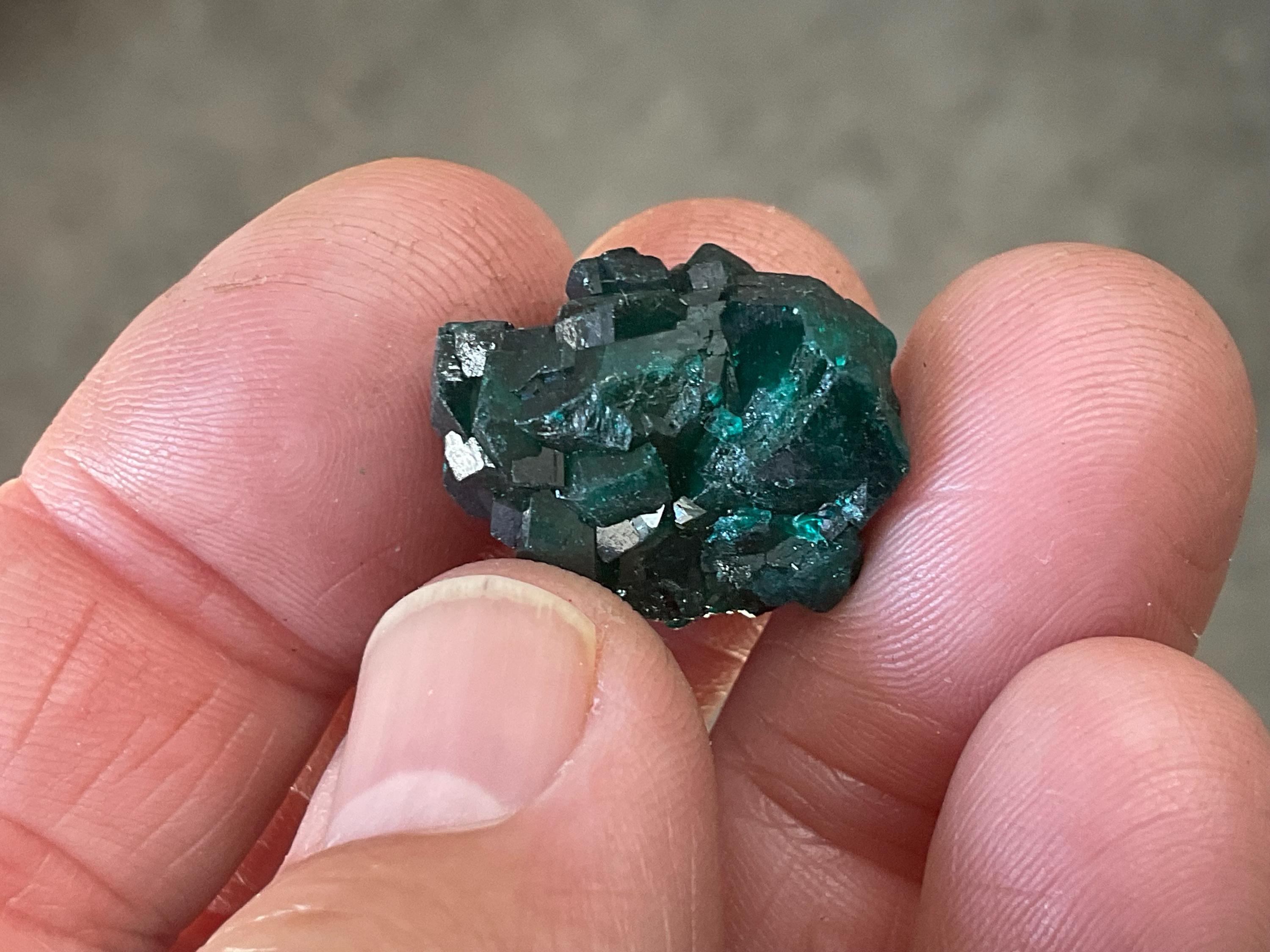 6g Congolese Dioptase Specimen 5C