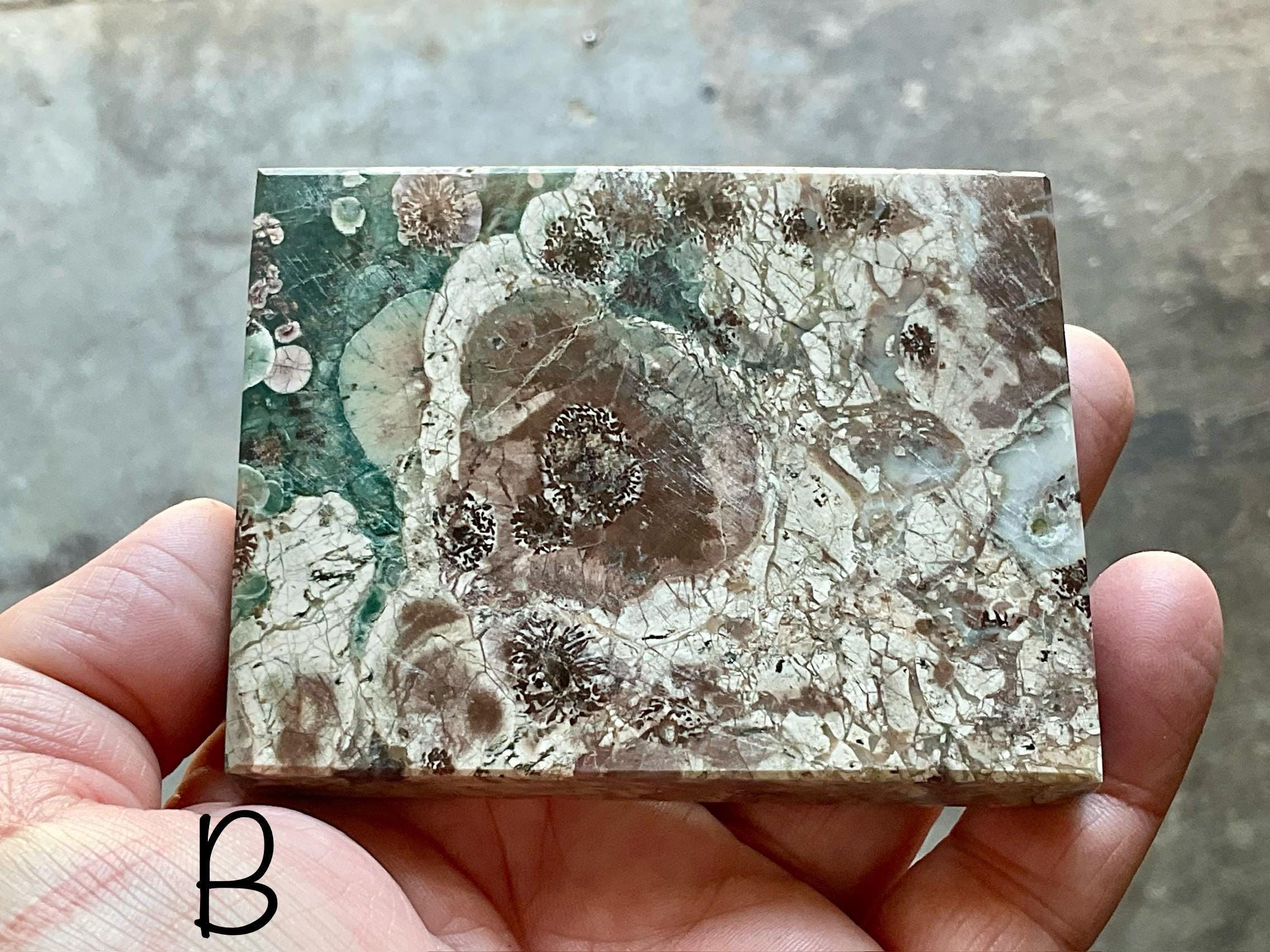 Green Cherry Blossom Jasper Polished Slabs Group 4