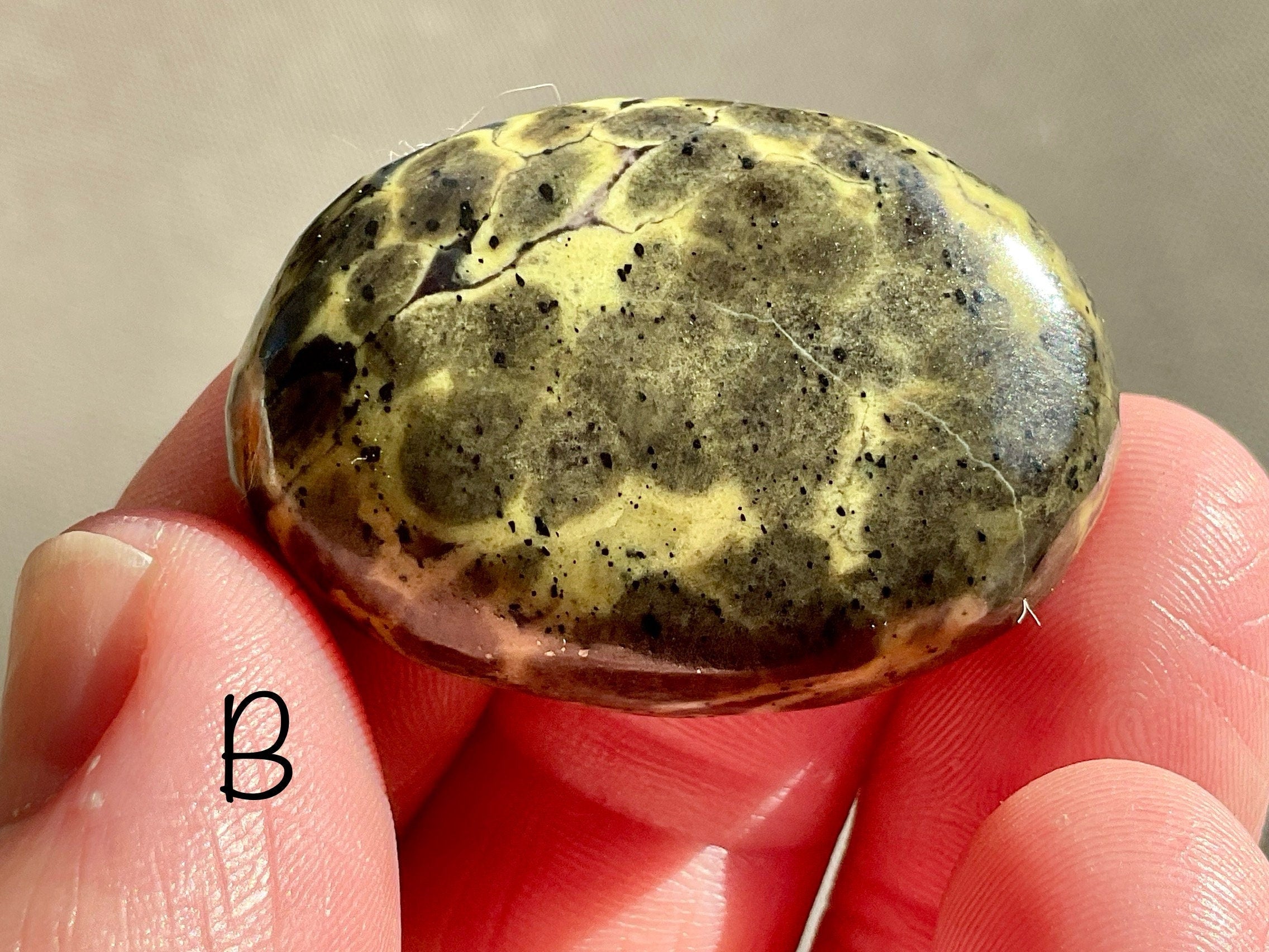 Pakistan Snakeskin Jasper Thumb Stone Group 6