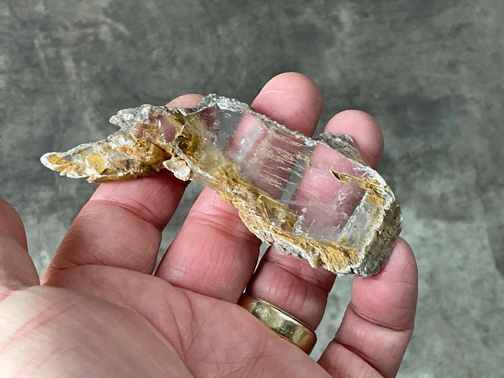 30g “Garden Selenite” Specimen 1A