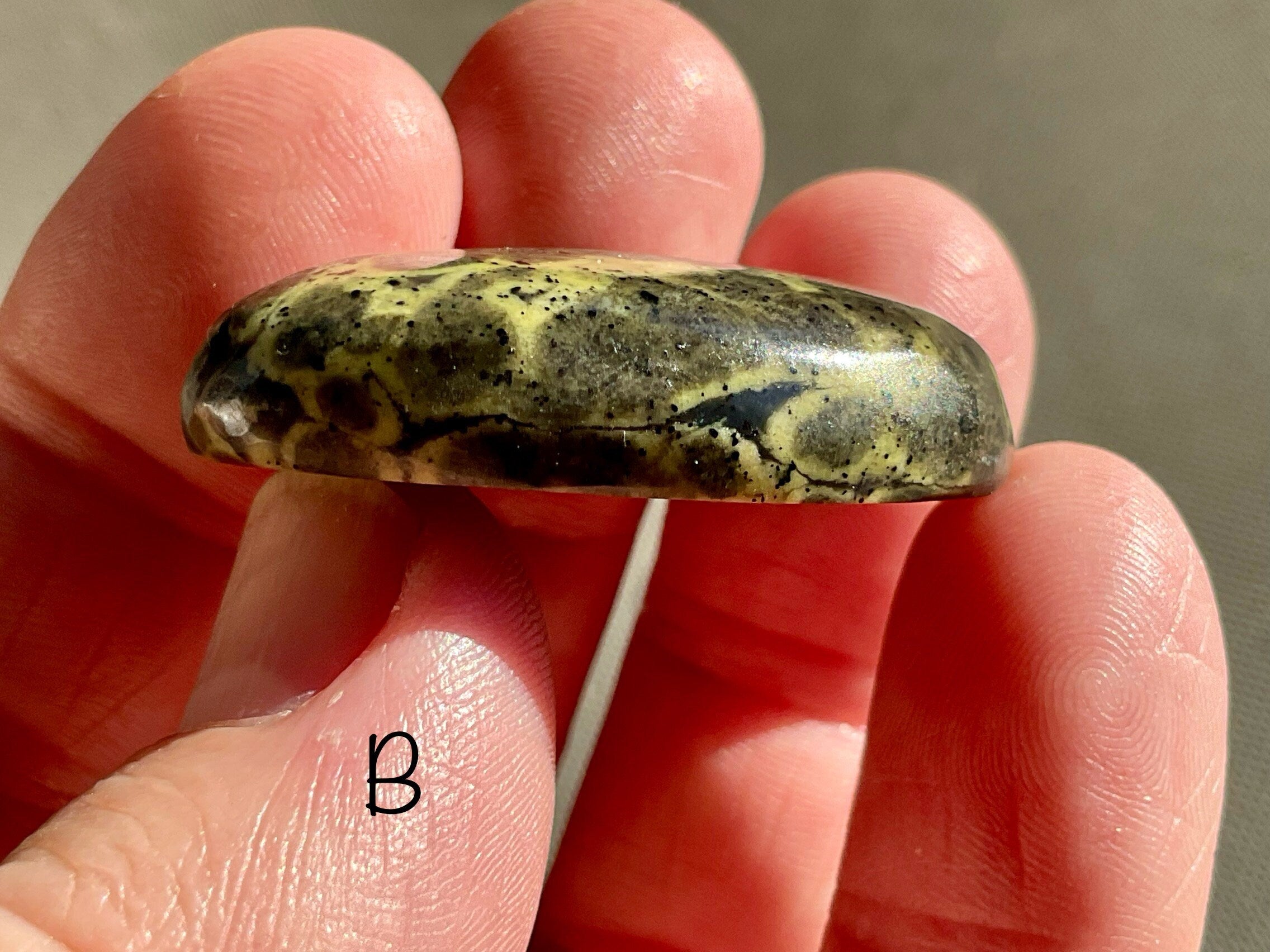 Pakistan Snakeskin Jasper Thumb Stone Group 6