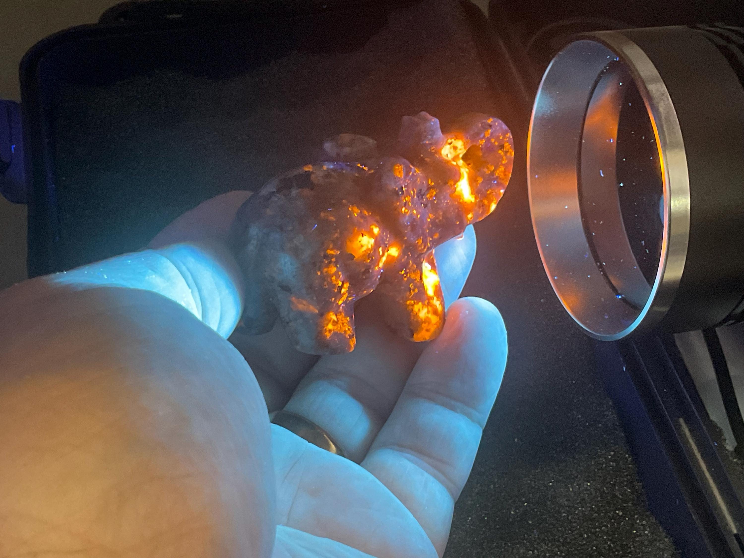 70g Syenite with Sodalite (Yooperlite) Elephant Carving A