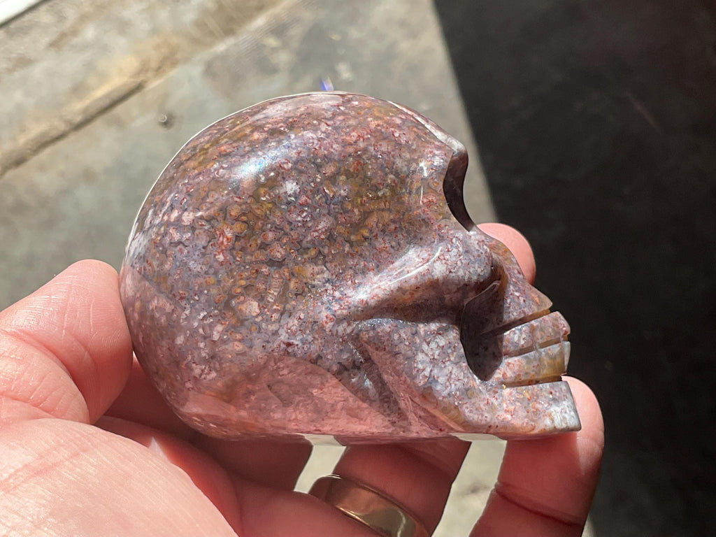 298g Ocean Jasper Skull A