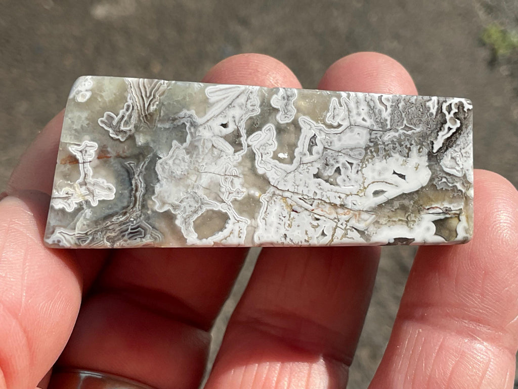 54g Mexican Crazy Lace Agate Freeform 12B