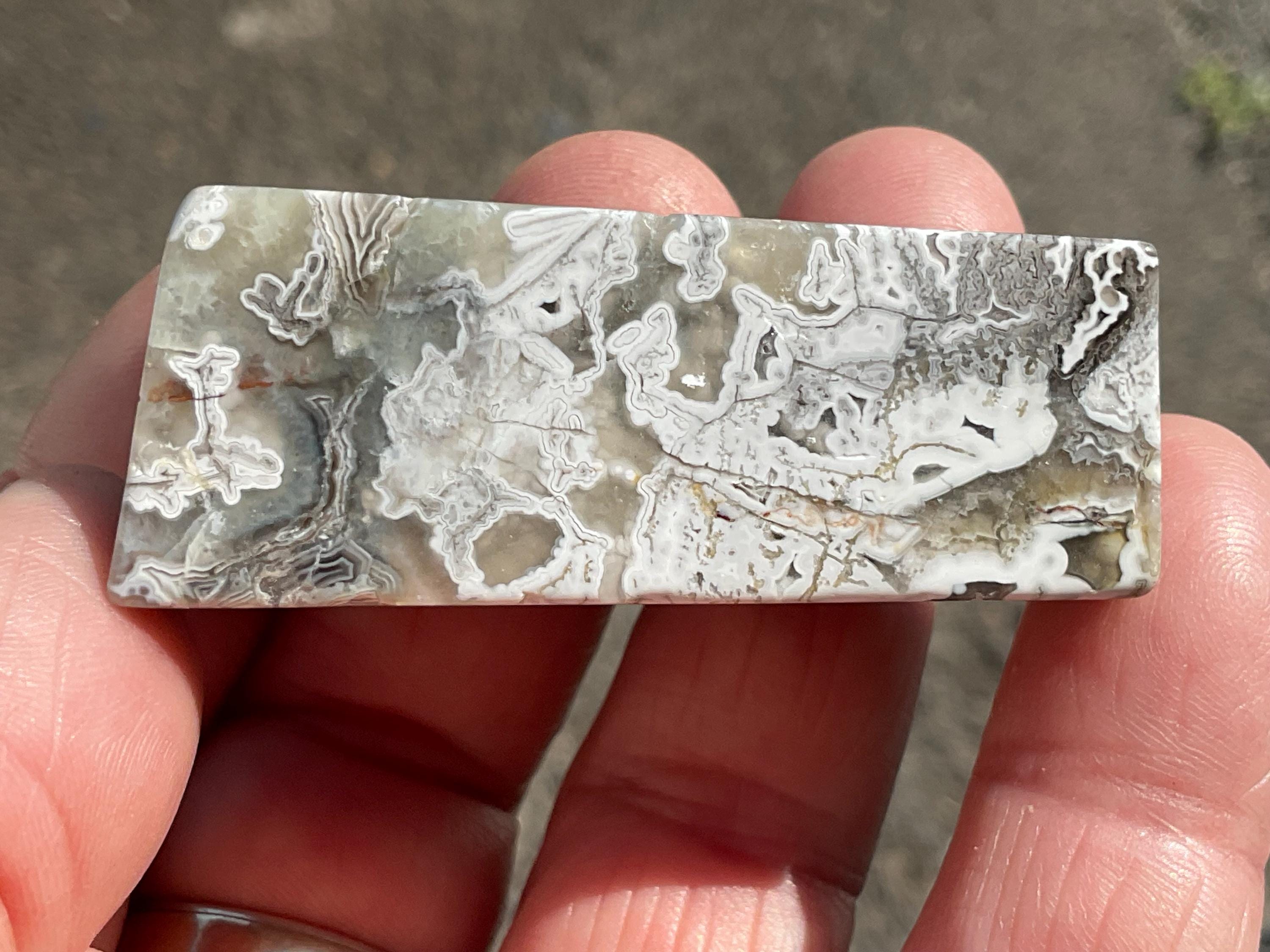 54g Mexican Crazy Lace Agate Freeform 12B