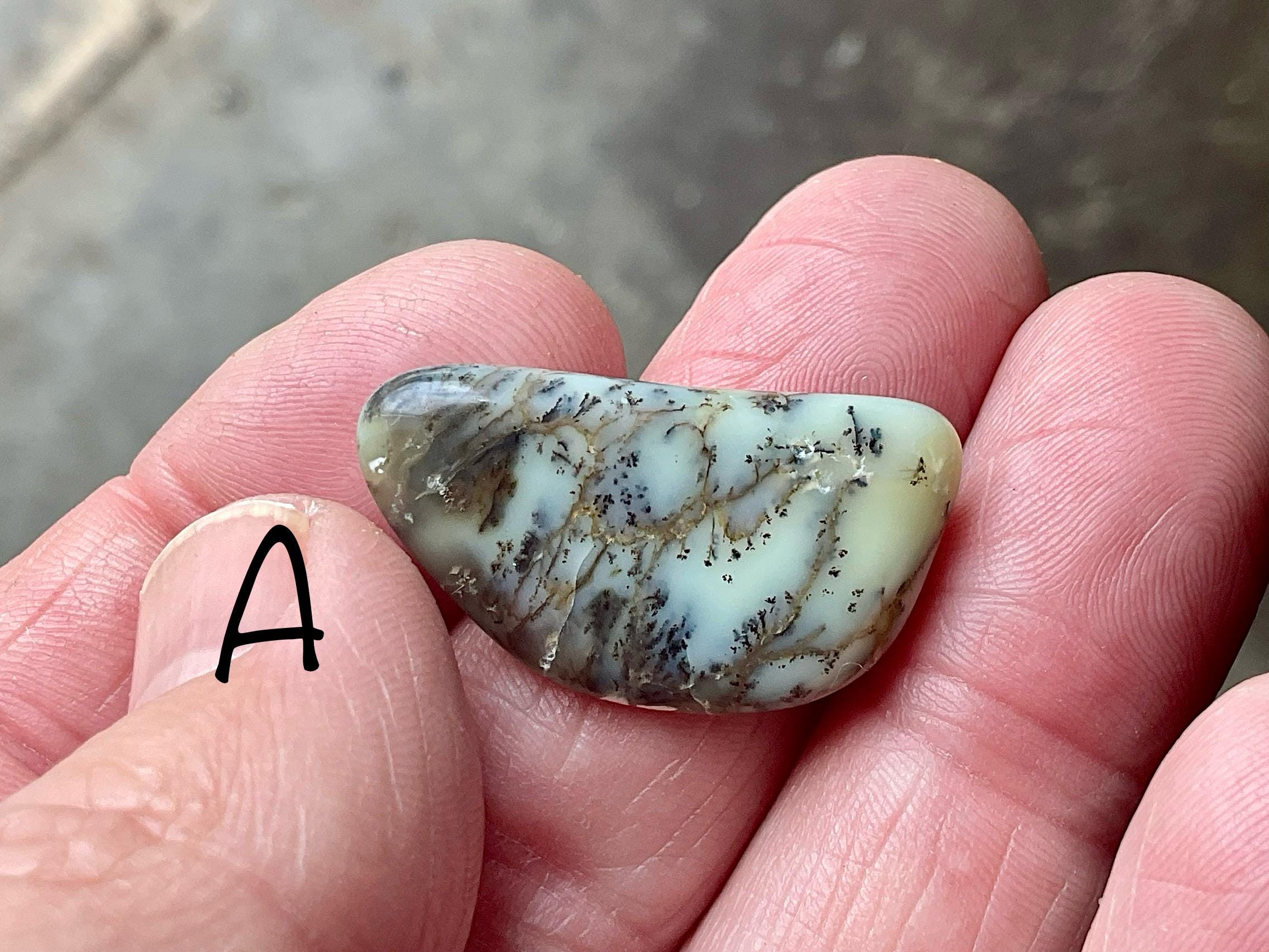 Grey/Green Western Australian Dendritic Opalite Flat Stone Group