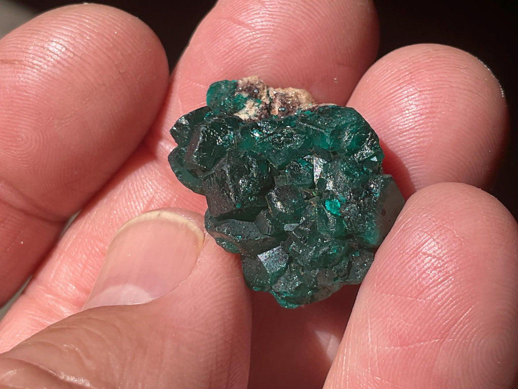 8g Congolese Dioptase Specimen 6B