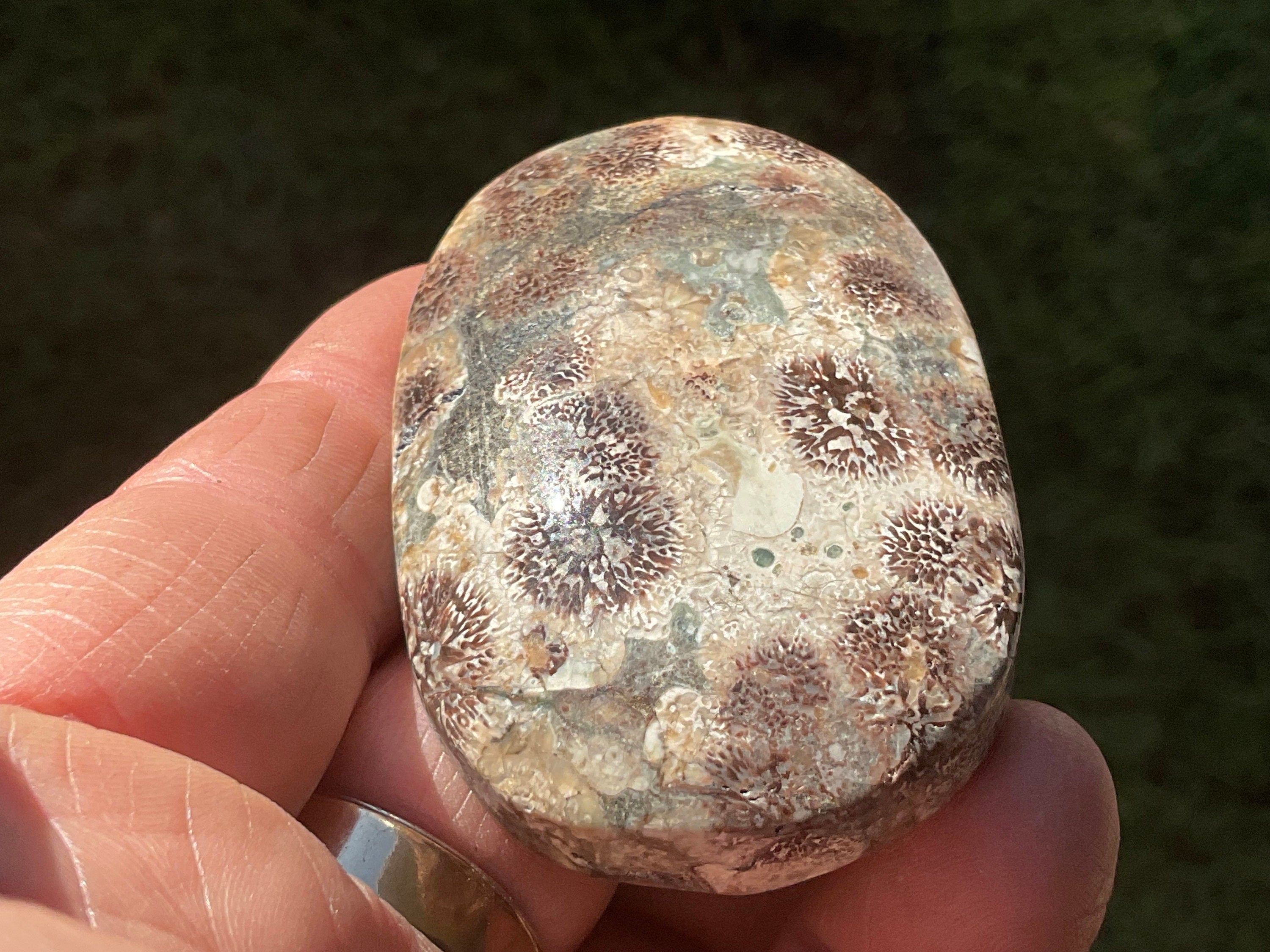 68g Green Cherry Blossom Jasper Palmstone 6A