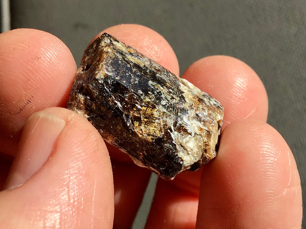 9g Yinnietharra Dravite Specimen 14B