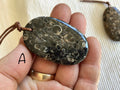 Large Turitella Agate Polished Pendant 1A