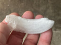 28g Rams Horn Selenite Specimen 6A