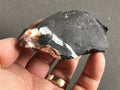 101g Sardonyx Rough Piece 1B
