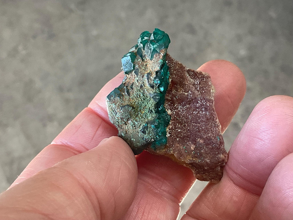 26g Congolese Dioptase Specimen 9A