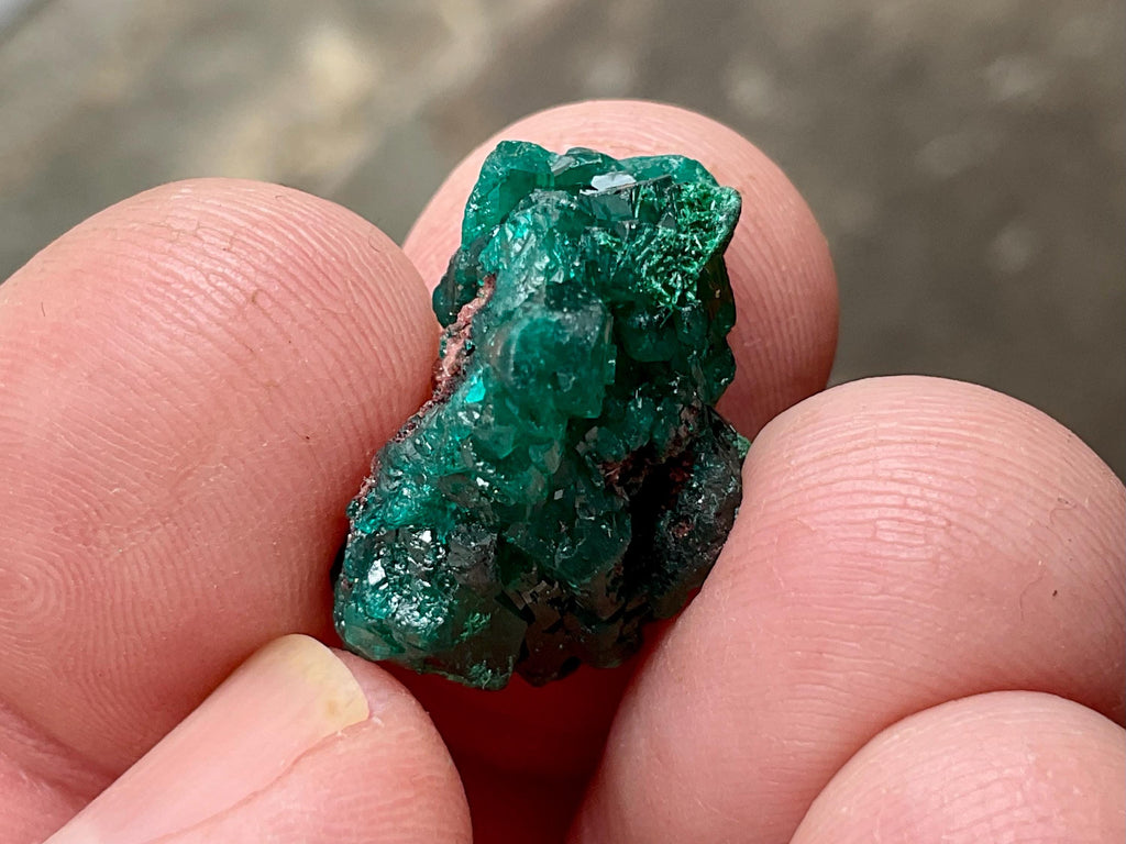 RESERVED FOR JULIA **5g Congolese Dioptase Natural Specimen 3B