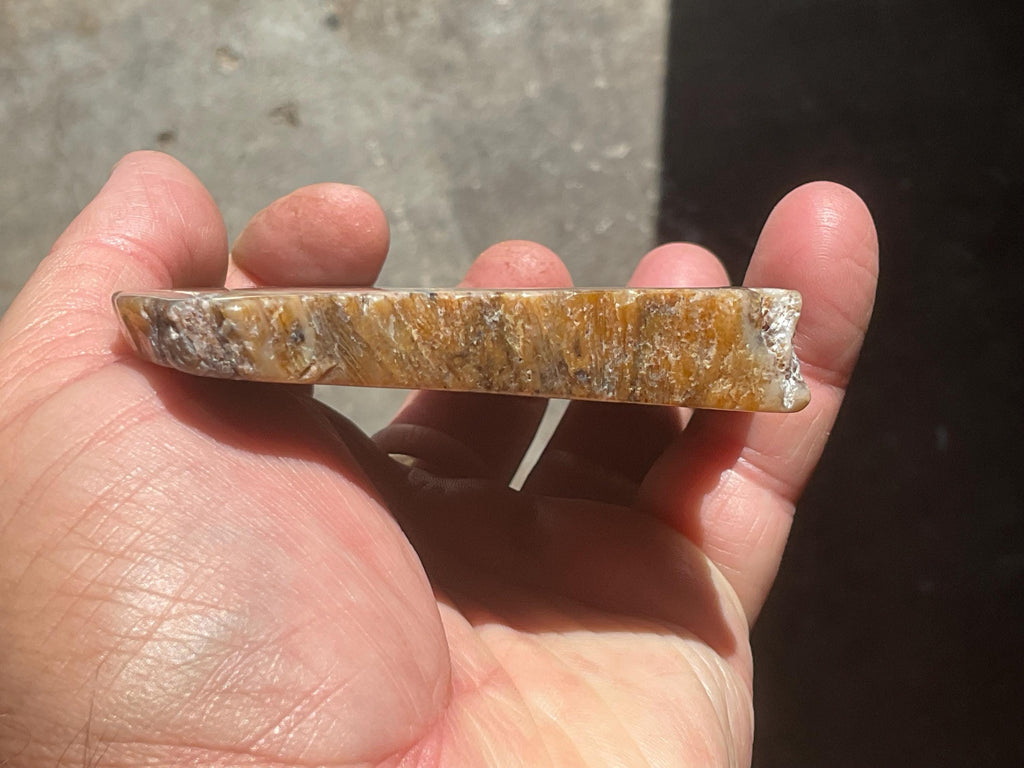 160g Fossilized/Agatised Coral Slab 2A
