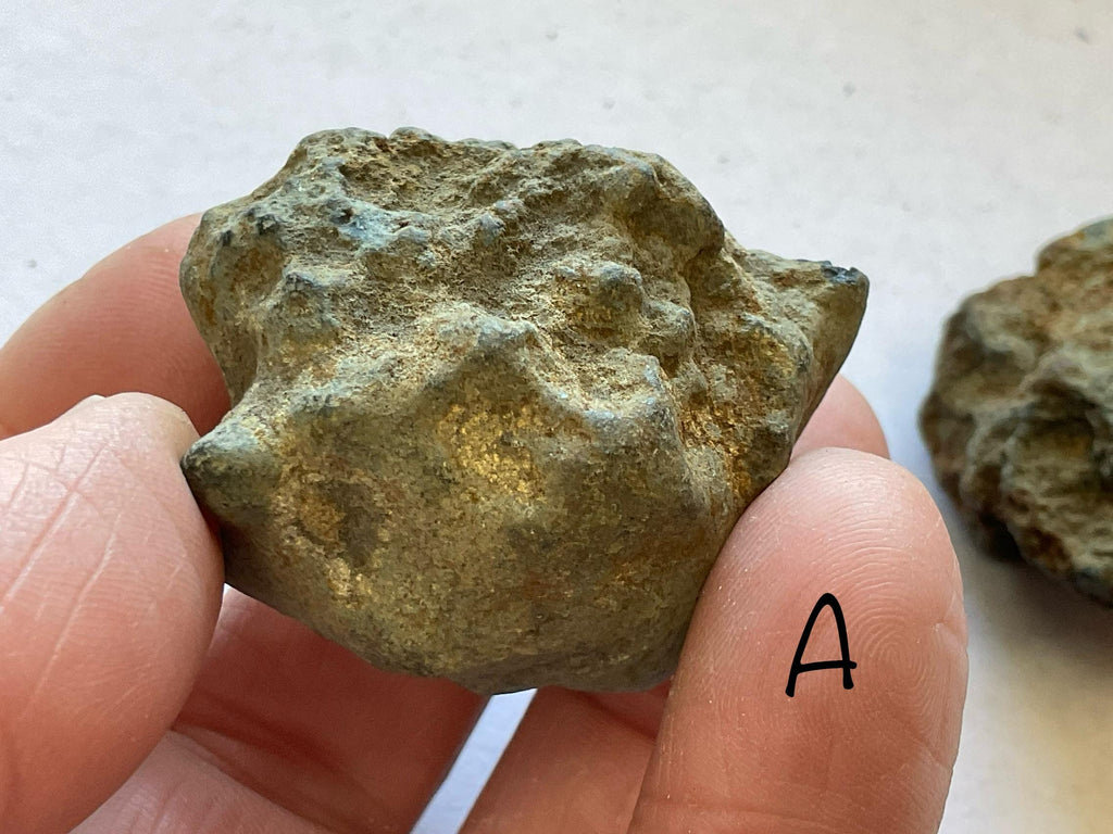 Rough Australian Vivianite Nodule 9A