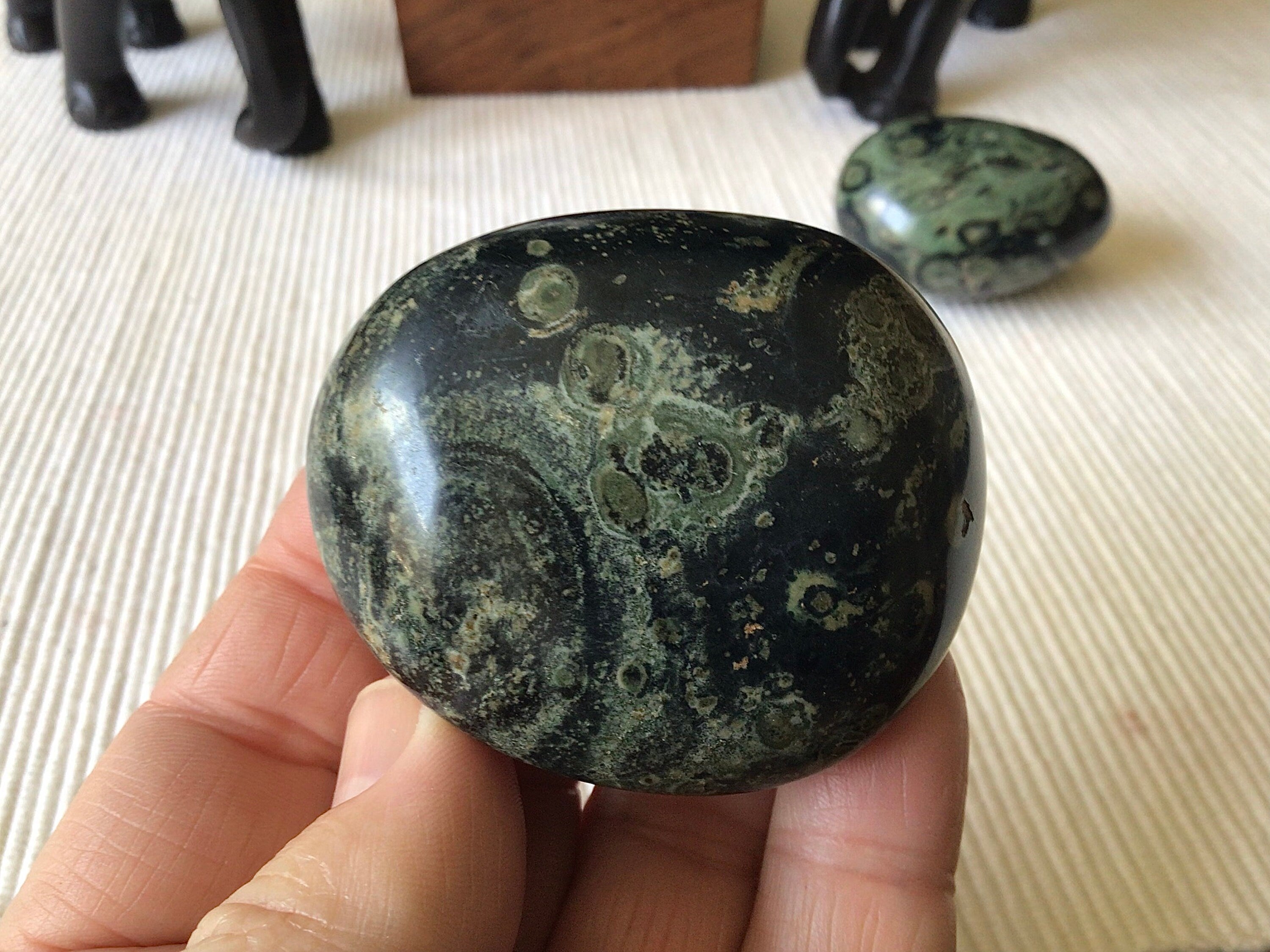 119g Kambaba Jasper Palmstone 3C