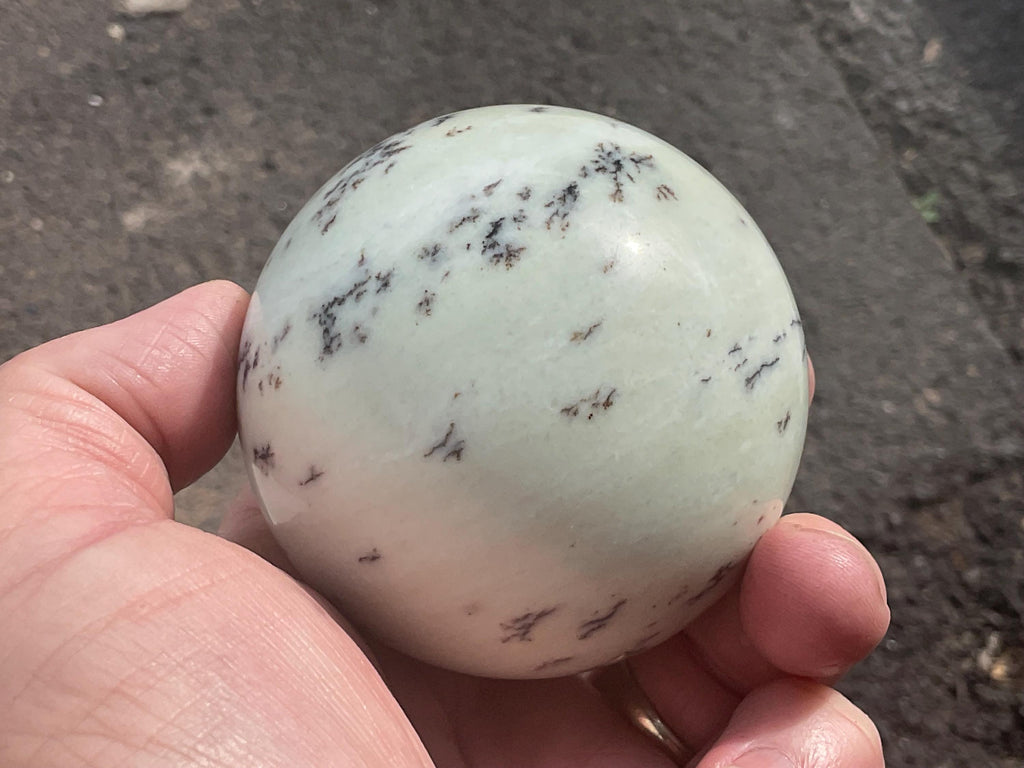436g Chinese Dendritic Jasper/Siltstone Sphere C