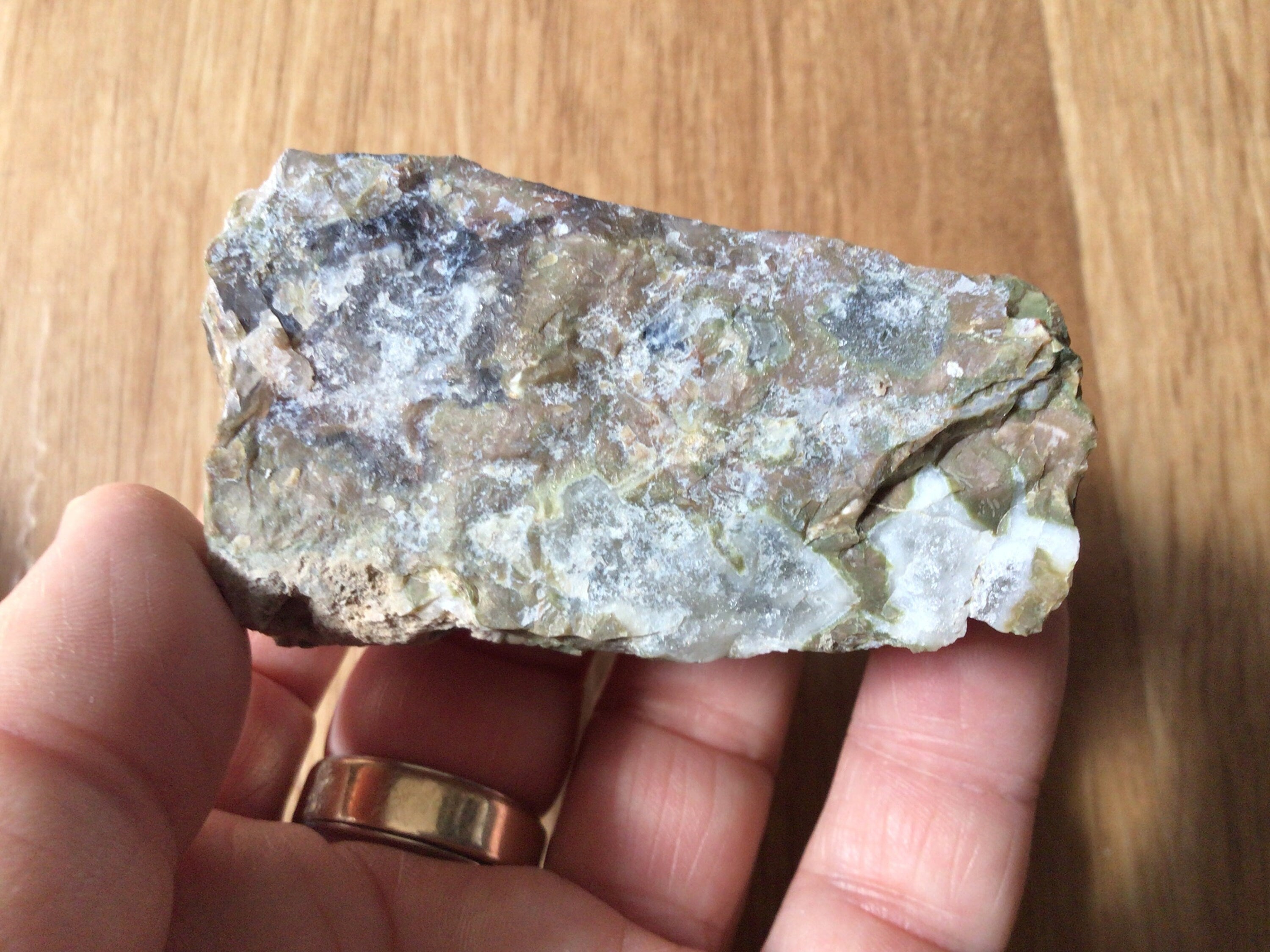 100g Mt Hay Rainforest Jasper Rough 2B