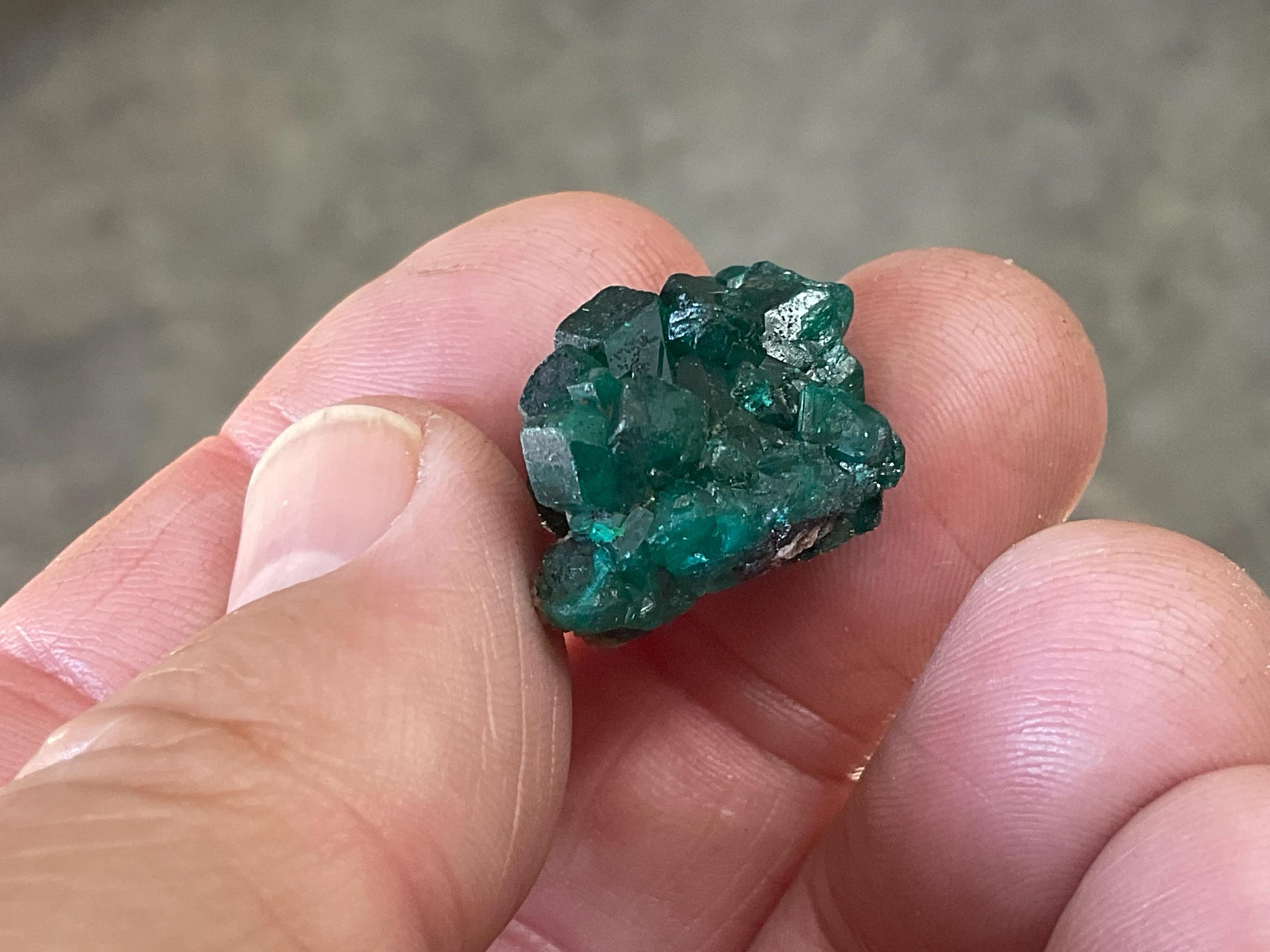 8g Congolese Dioptase Specimen 6B