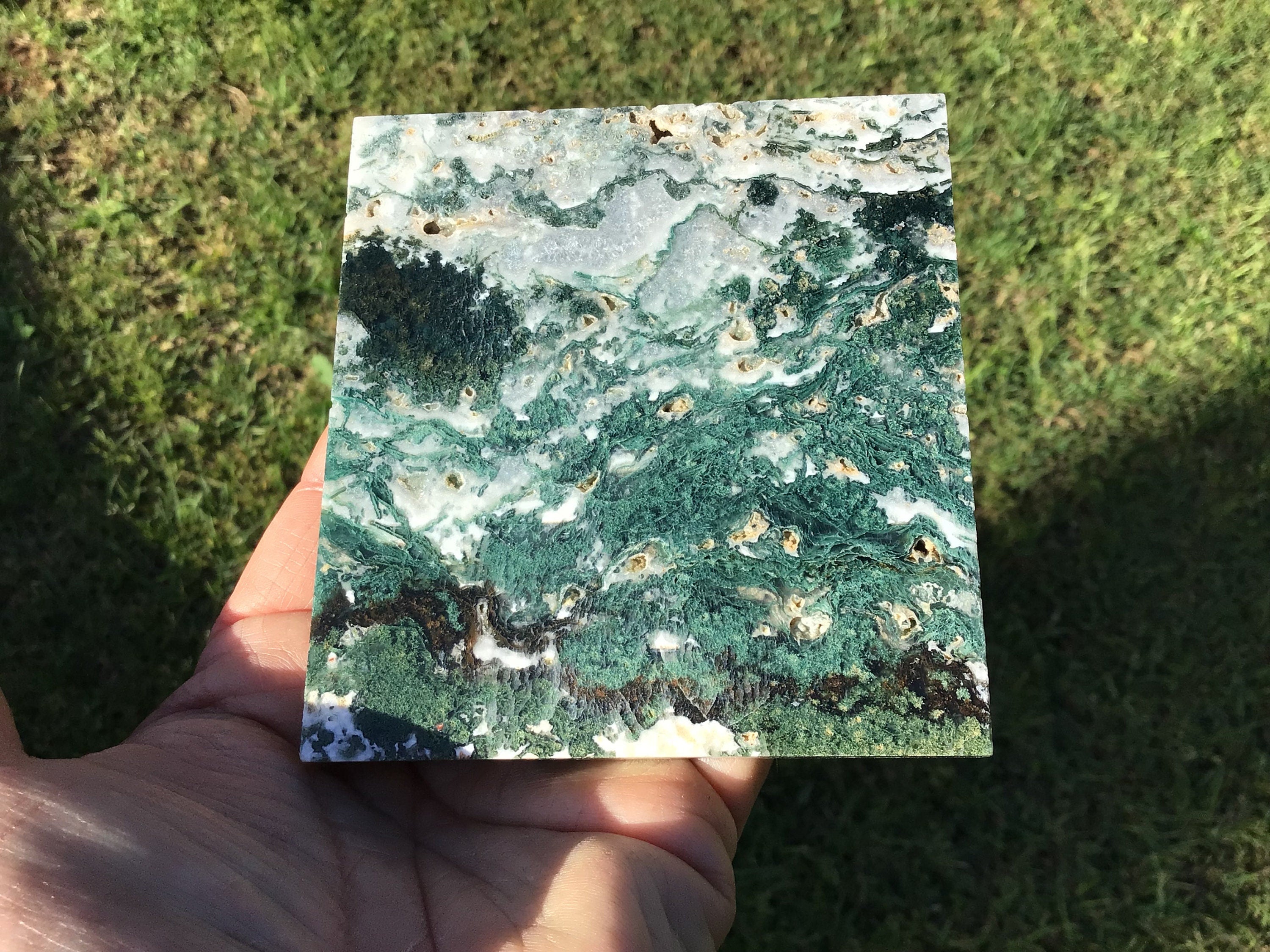 215g Moss Agate Polished Slice 4B