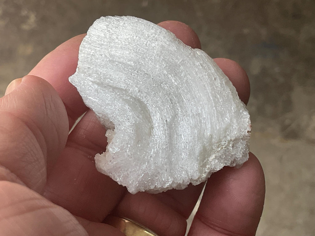 34g Rams Horn Selenite Specimen 6C