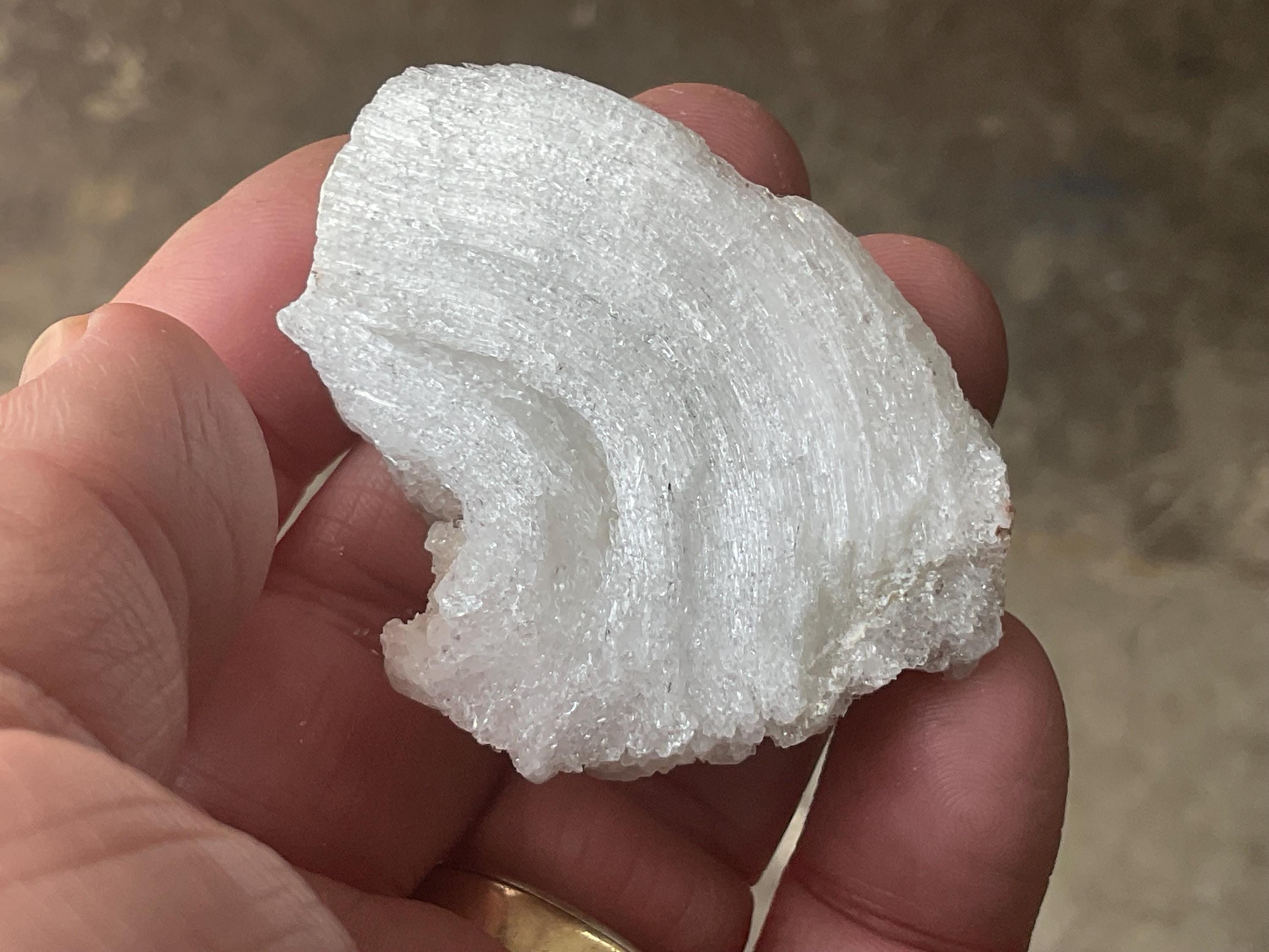 34g Rams Horn Selenite Specimen 6C