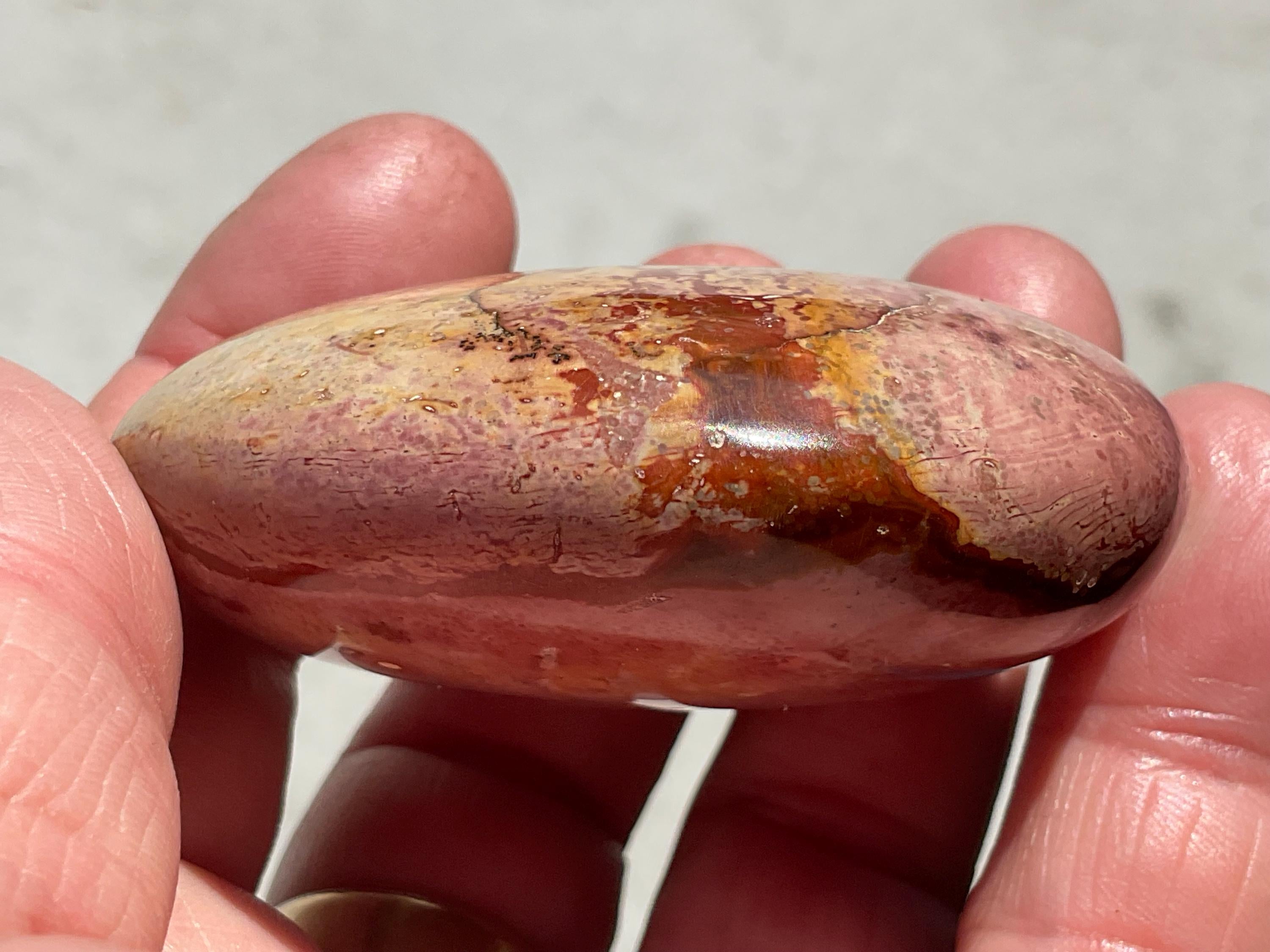 106g Polychrome Jasper Palmstone 24B