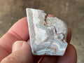 48g Mexican Crazy Lace Agate Freeform 17C