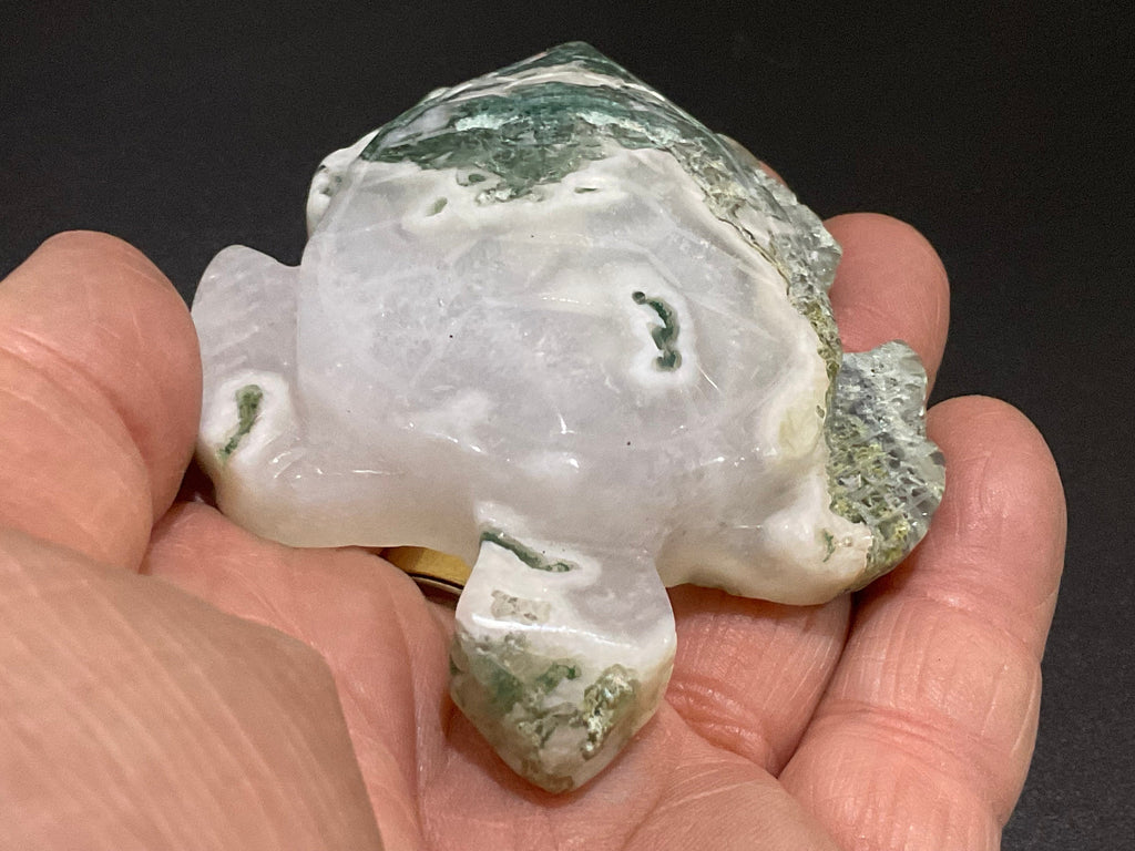 112g Moss Agate Turtle 1C