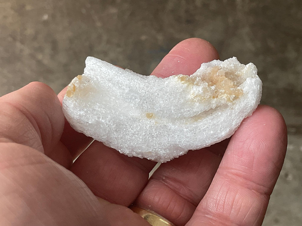 32g Rams Horn Selenite Specimen 6B