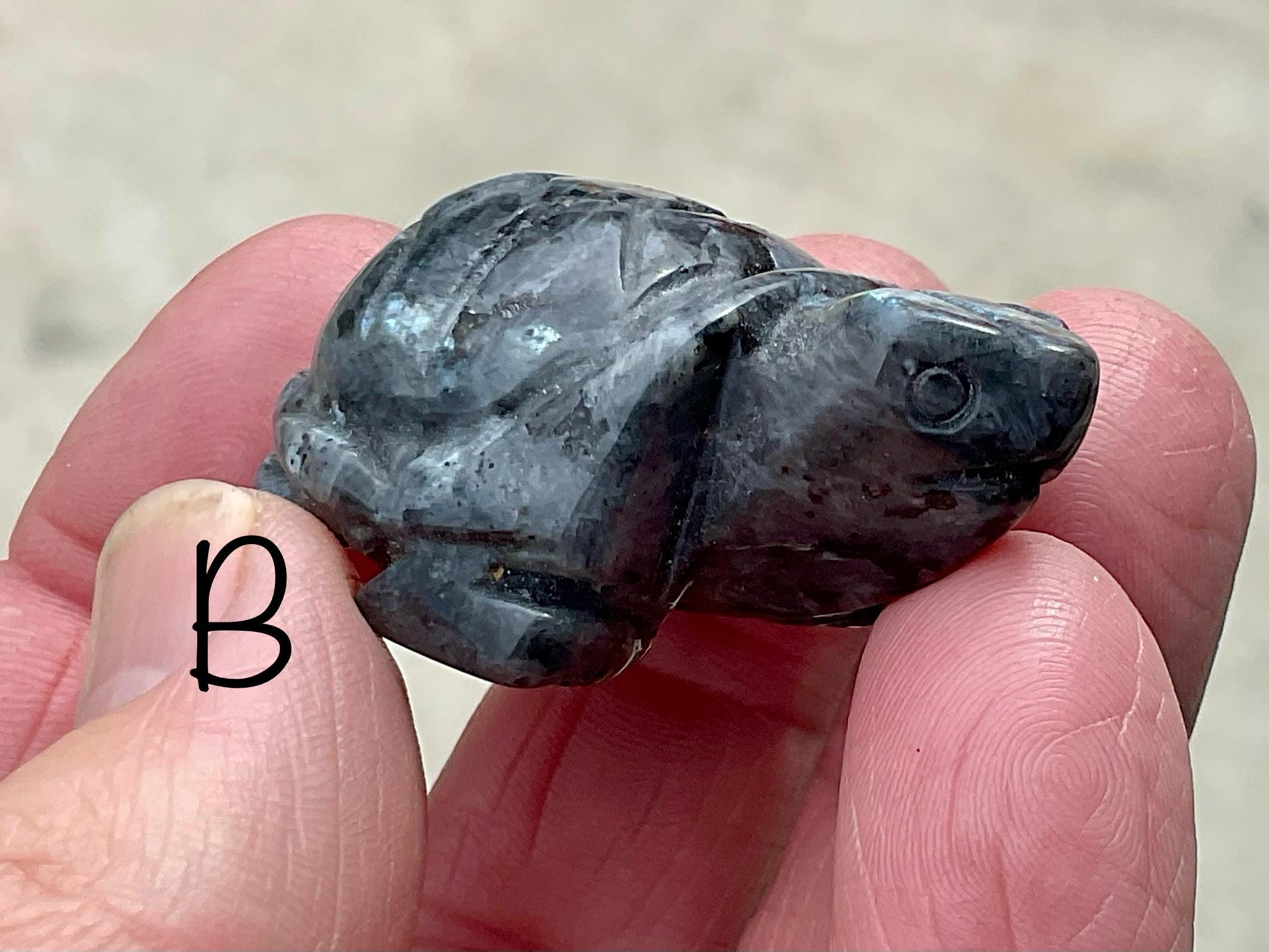Larvikite Small Turtle Group 1