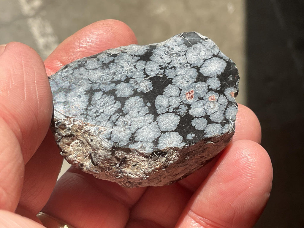 52g Snowflake Obsidian One Side Polished Piece A