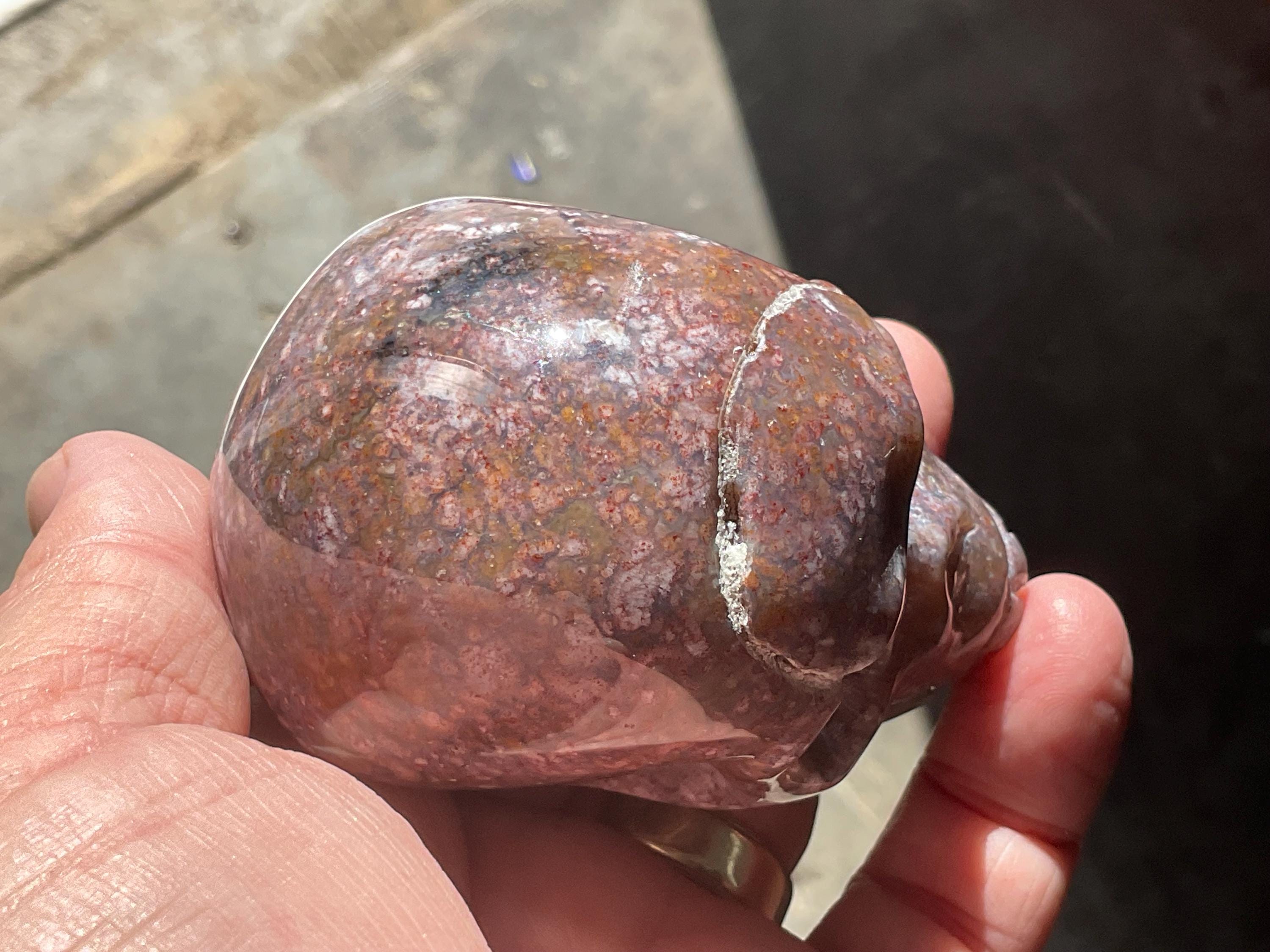 298g Ocean Jasper Skull A